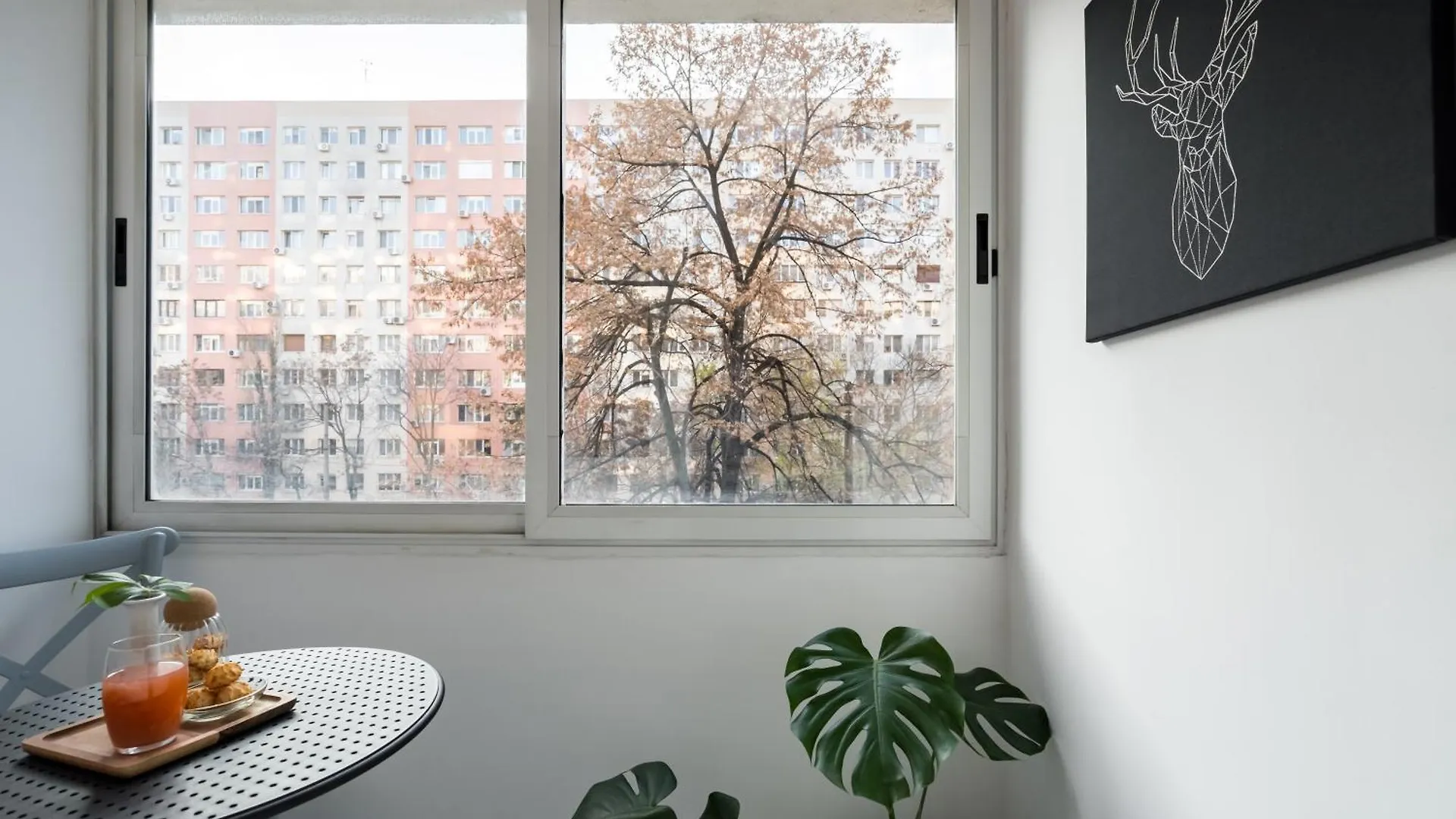 Ariel Studio Dristor Бухарест 0*,